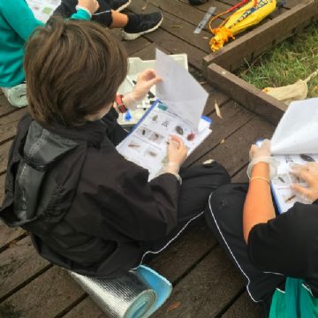 Y6 Nature Reserve trip 4